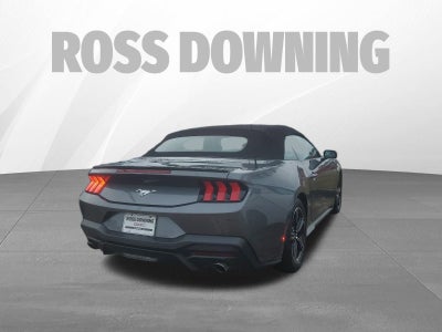 2024 Ford Mustang EcoBoost