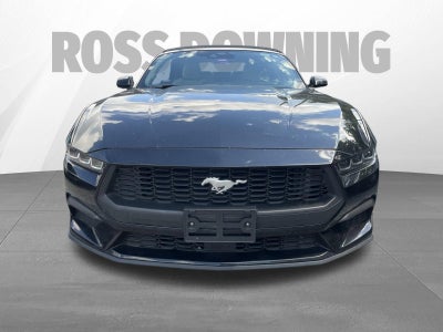 2024 Ford Mustang EcoBoost