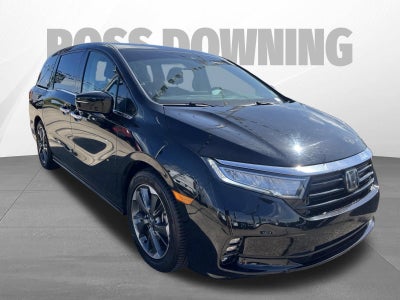 2023 Honda Odyssey Elite